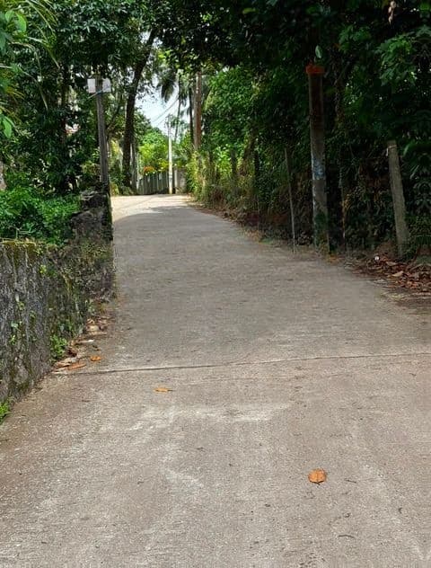Land for Sale near Thewaththa Church