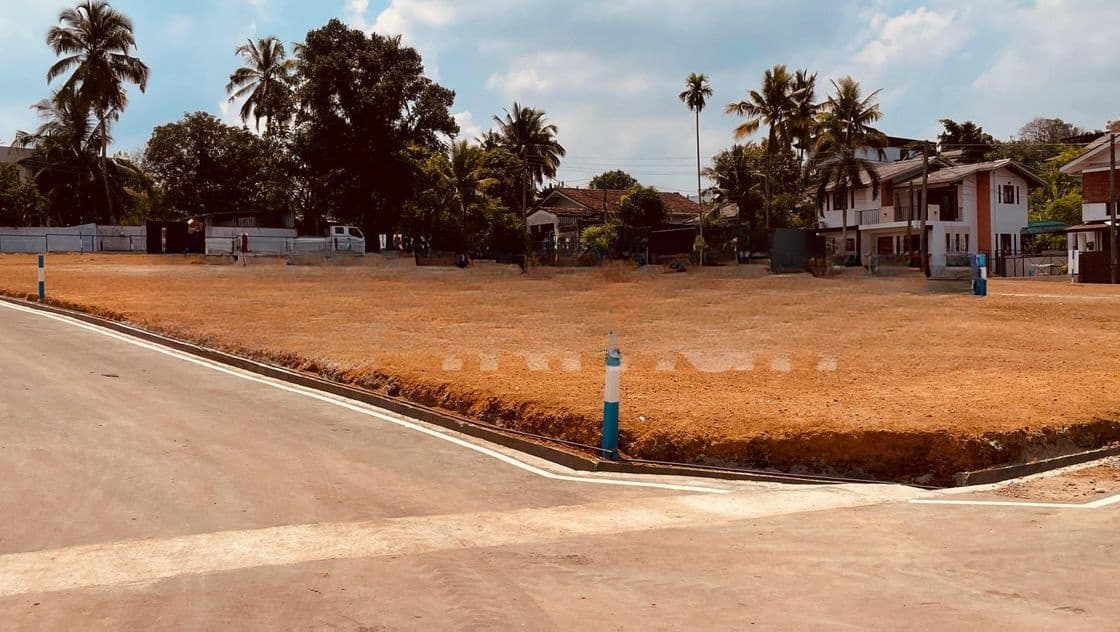 Valuable flat Lands for sale in Arangala