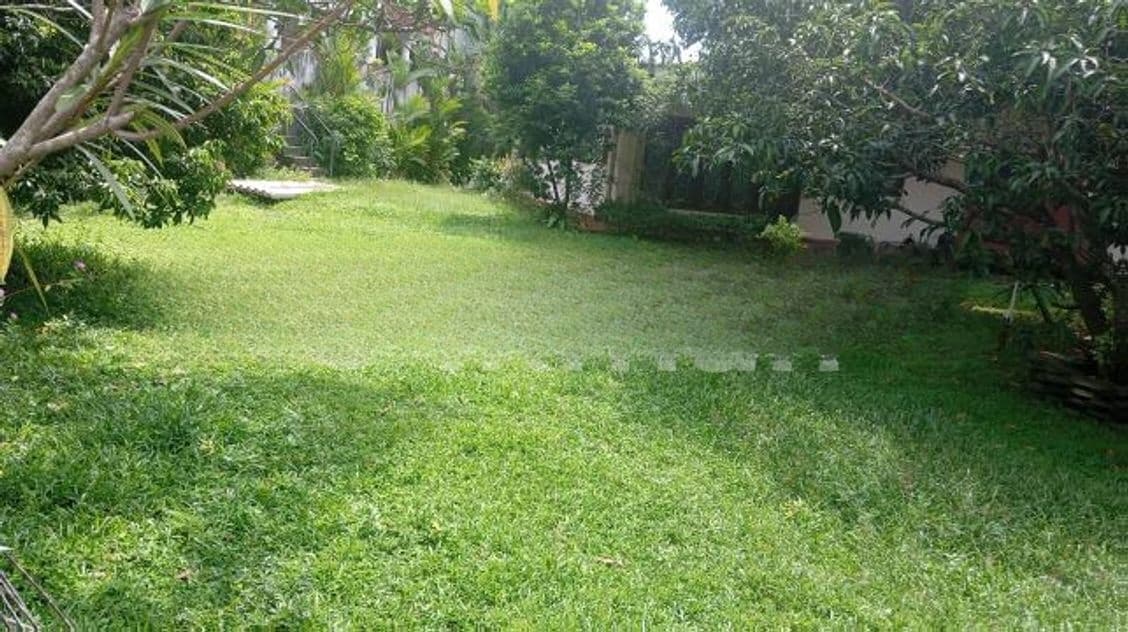 Single Story House Rent Pelawatta