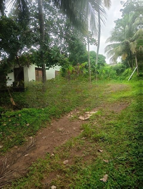 160 Perches Land with a house For Sale in Raddolugama (SSPL-465)