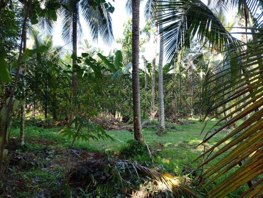 Land for Sale in Nittambuwa