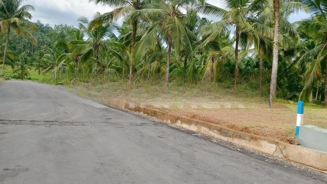 කඩවත 210 බස් පාරට ළගින් බිම් කොටස්
