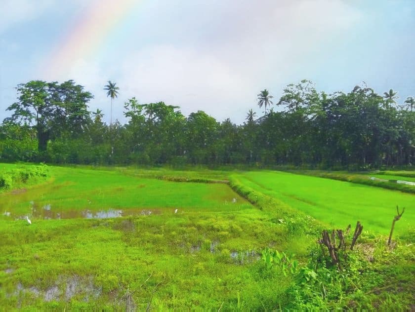 Developed Land for Sale in Dambadeniya P4