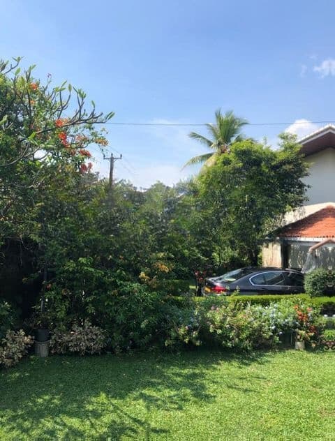 Land Valued House For Sale In Off Anderson Road Nedimala Dehiwala