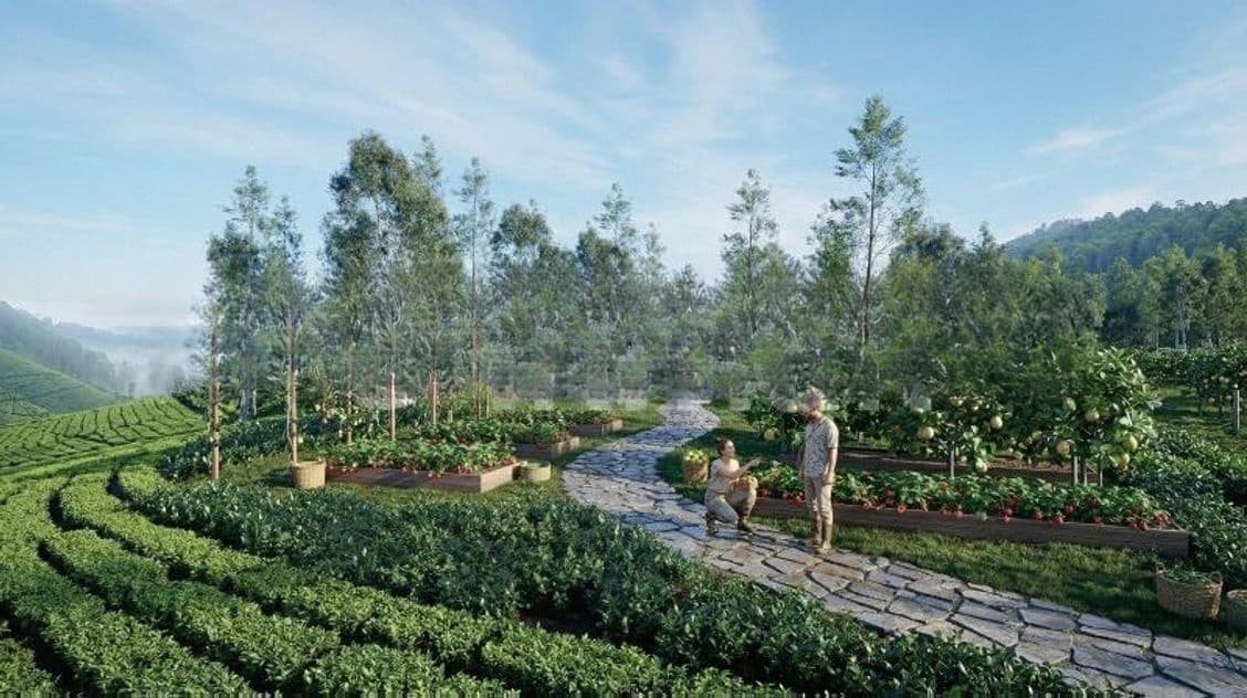 Natural beauty houses for sale in Rozella