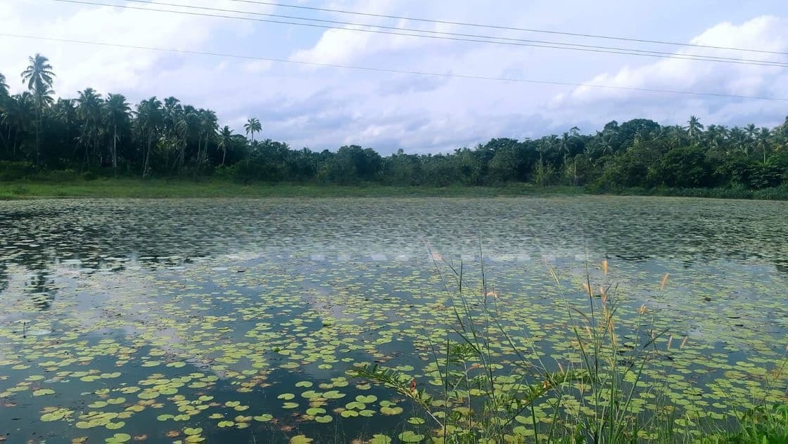 Land for Sale in Minuwangoda