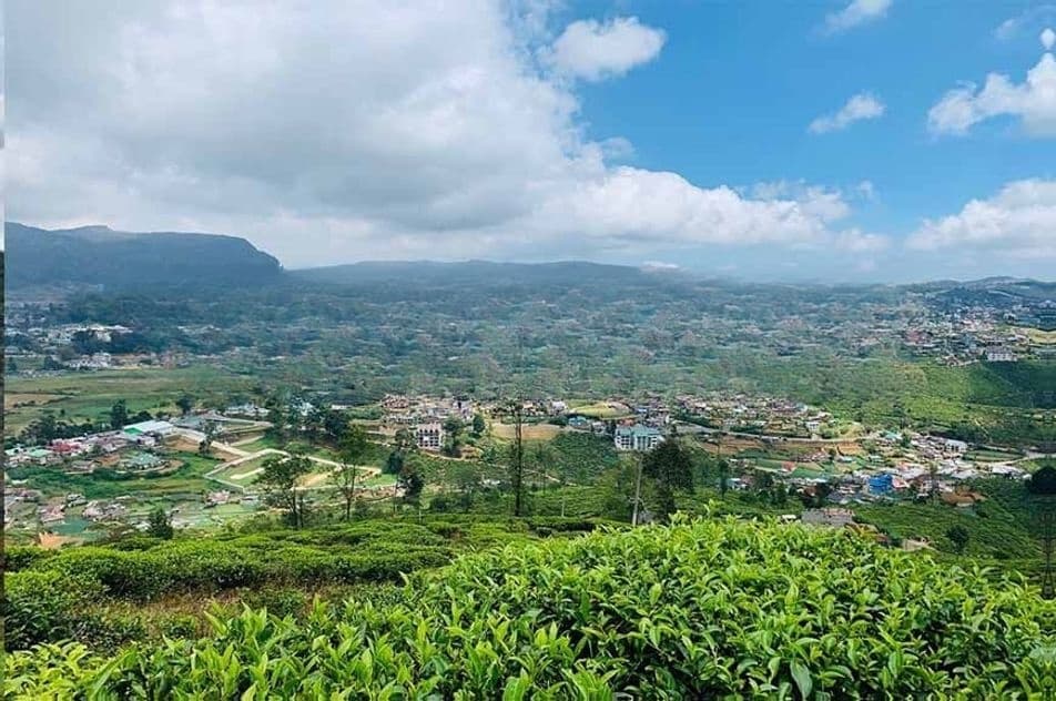 Valuable Land for Sale Nuwara Eliya Road