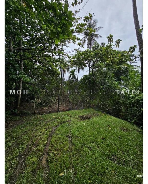 Land for Sale Malabe
