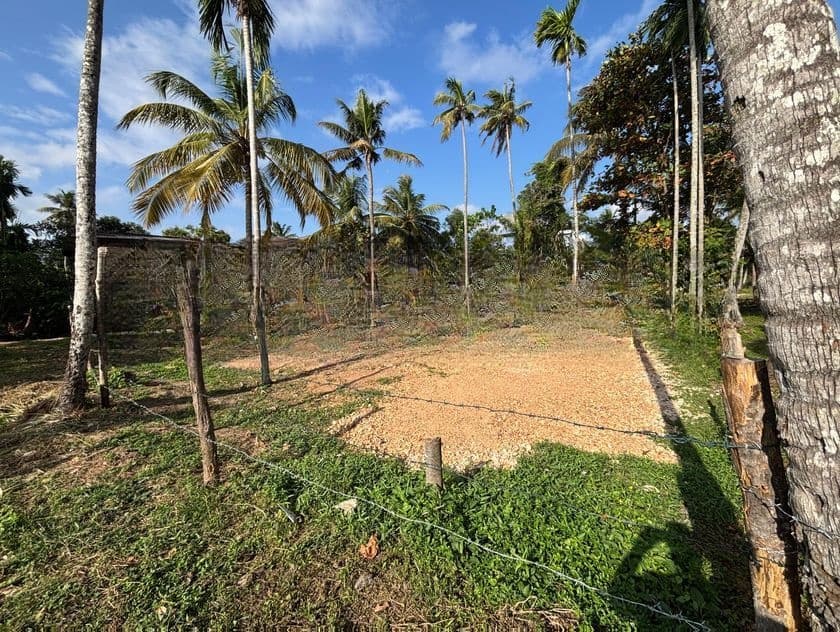 Residential Land for Sale in Kapuwatta -Ja Ela
