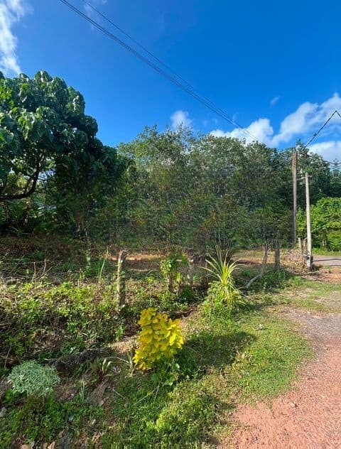 Land for Sale in Homagama