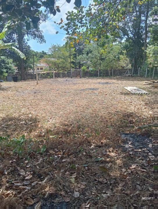 🌟Excellent Capital Growth Land for Sale – Close to Ragama Town,Tewatta & Kadawatha - Close to All Amenities!🌟