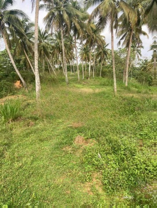 Commercial / Industrial Lands For Sale