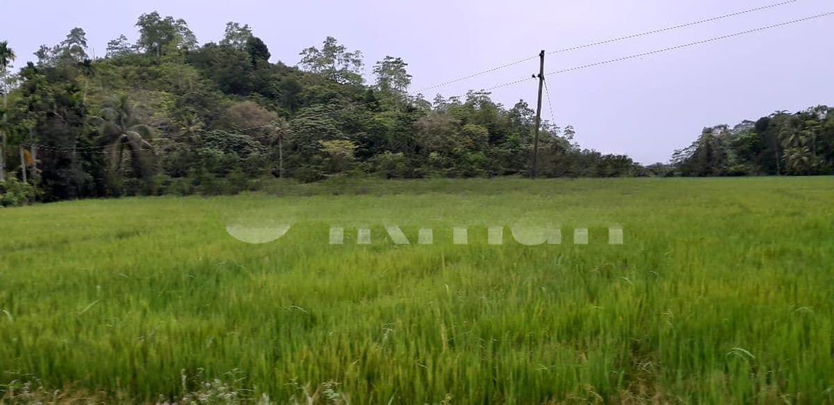 Ahangama Hillside Land for Sale