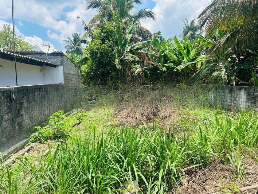 Wattala – Prime Main Road Facing Land for Sale