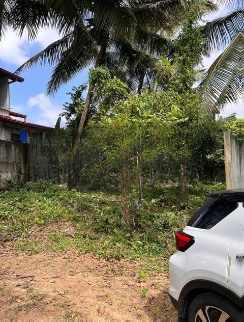 Valuable Land for sale in Kadawatha