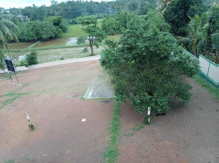 120 බස් පාරට සමීපයෙන් වෙල් යායකට මුහුණලා වටිනා බිම් කොටස් - Piliyandala