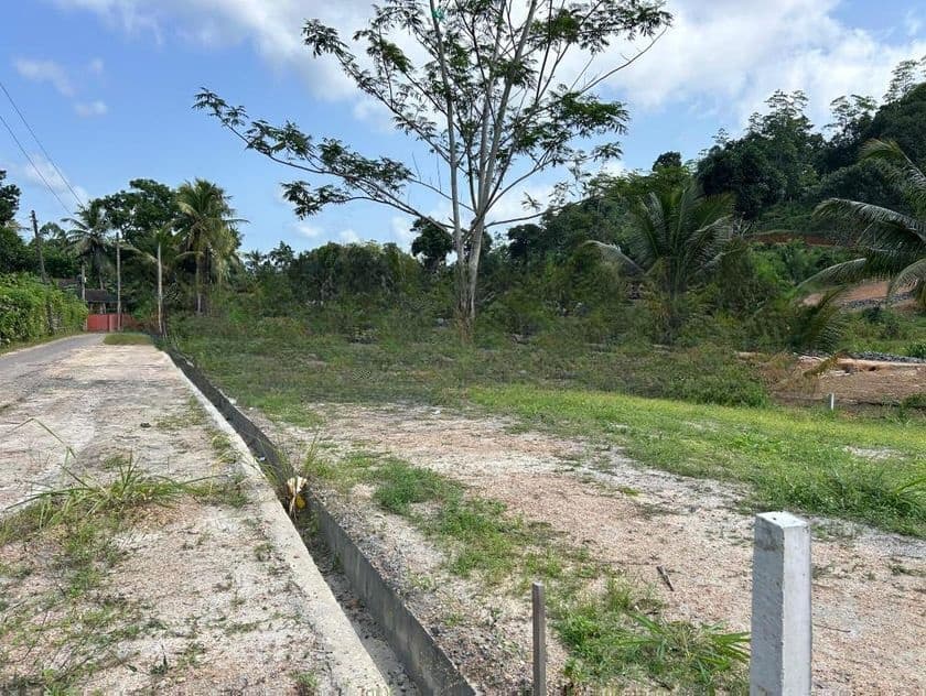 උඩුගම බස් පාරට ලගින්ම බිම් කොටස්