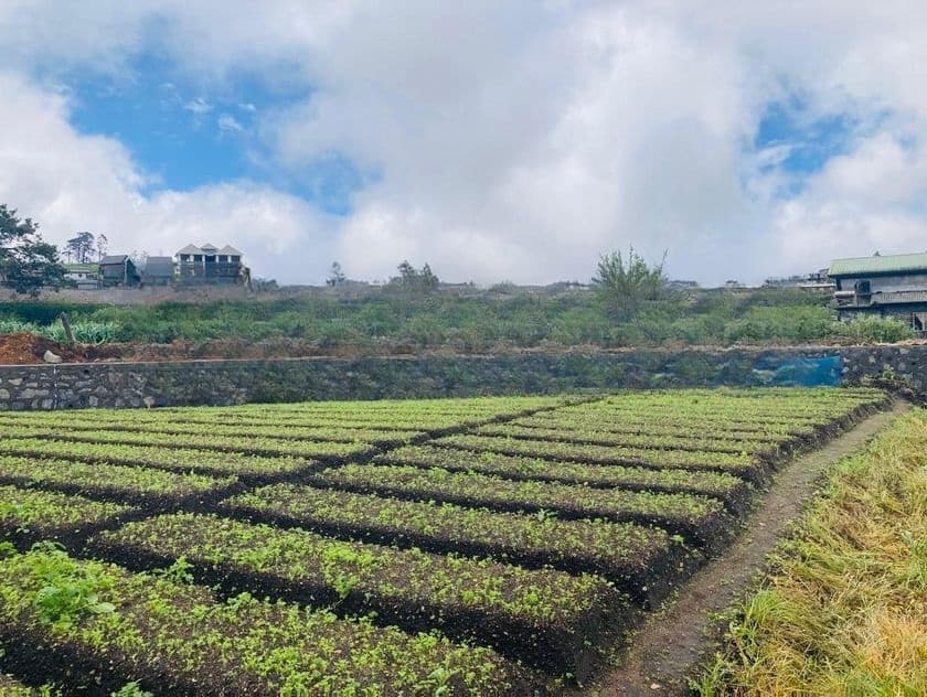 (AFA265) 58 Perches Land in Nuwara Eliya Hills