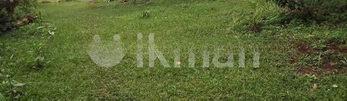 Dehiwala 17P Prime Land for Sale in Aththidiya