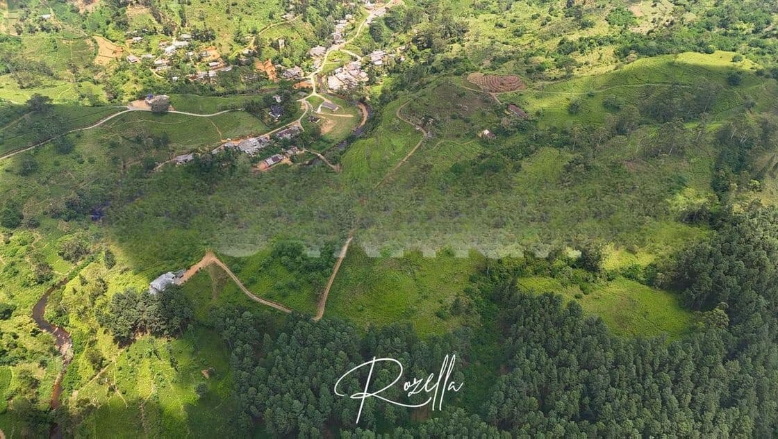 Beautiful Houses For Sale In Rozella