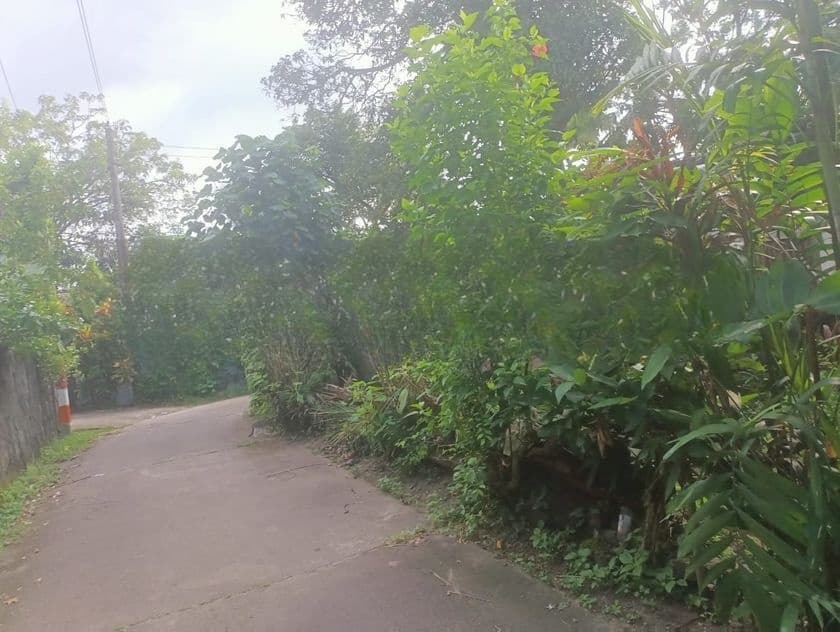 Valuable Land for Sale in Piliyandala- Maharagama Road