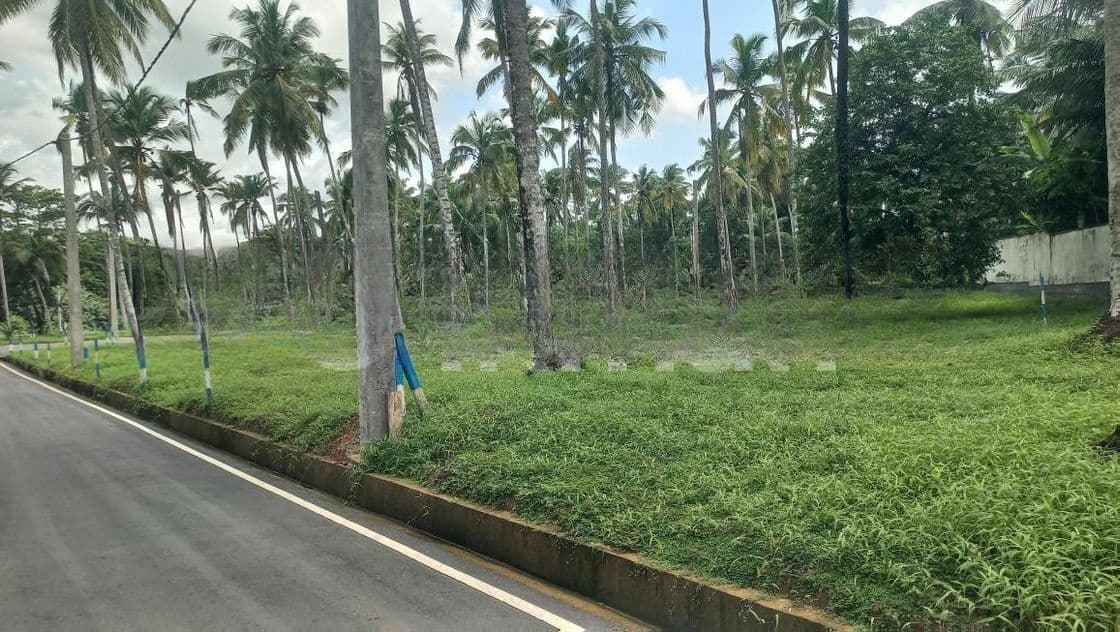 යක්කල නගරයෙන්ම බිම්කොටස්