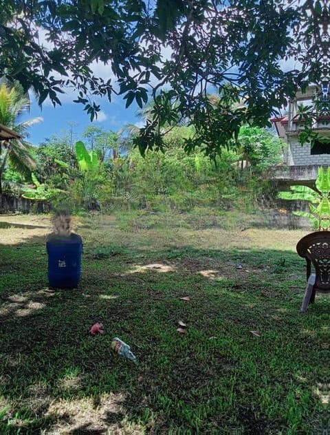 Land for Sale Niwandama