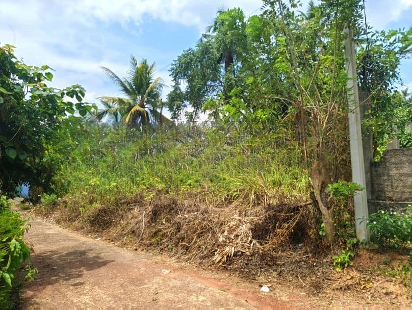 යක්කල – වටිනා ඉඩමක් විකිණීමට / UP 7313