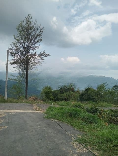 Land for Sale Nuwara Eliya