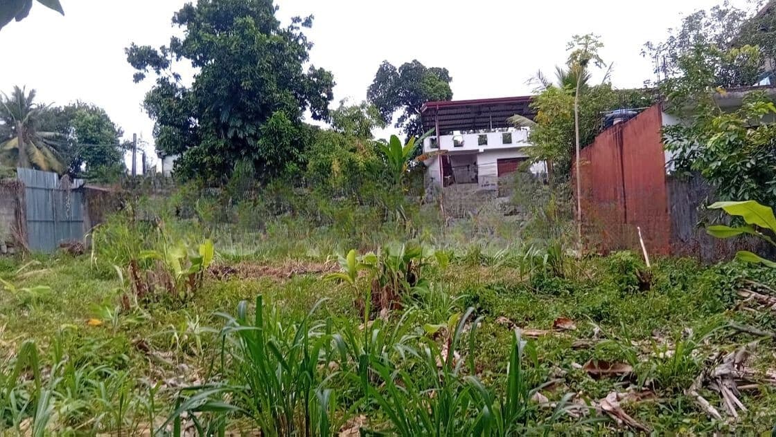 Boralesgamuwa- 28 Perches Land for Sale (SSPL-482)