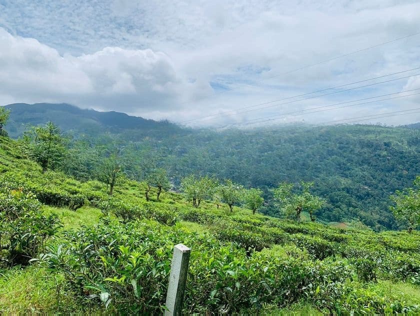 Land in Pudaluoya