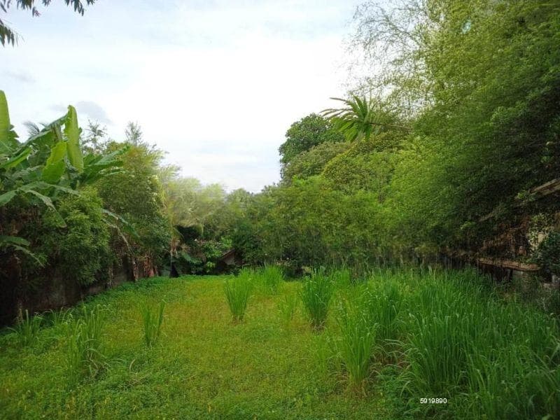 Land for Sale - Kotte | LKR 70,000,000