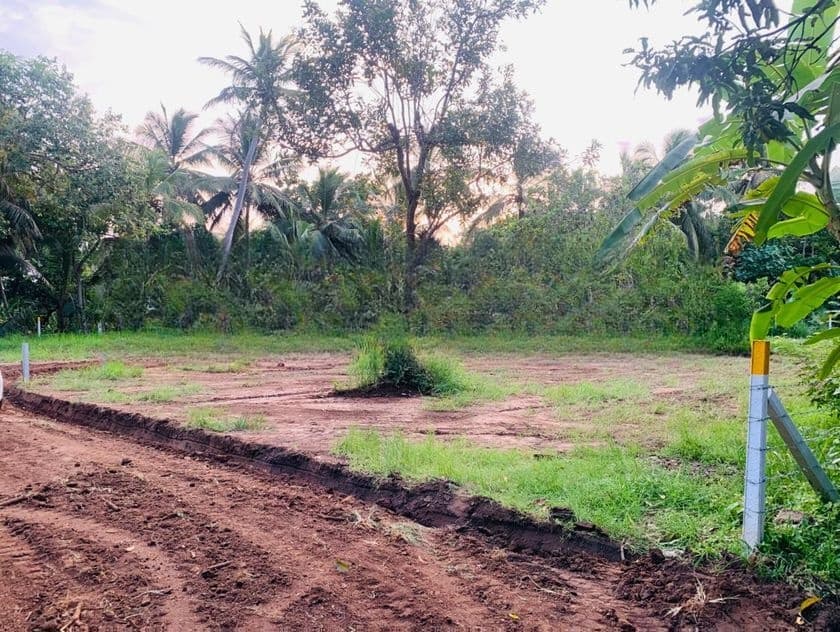 අනුරාධපුරයෙන් සින්නක්කර නේවාසික බිම් කොටස්
