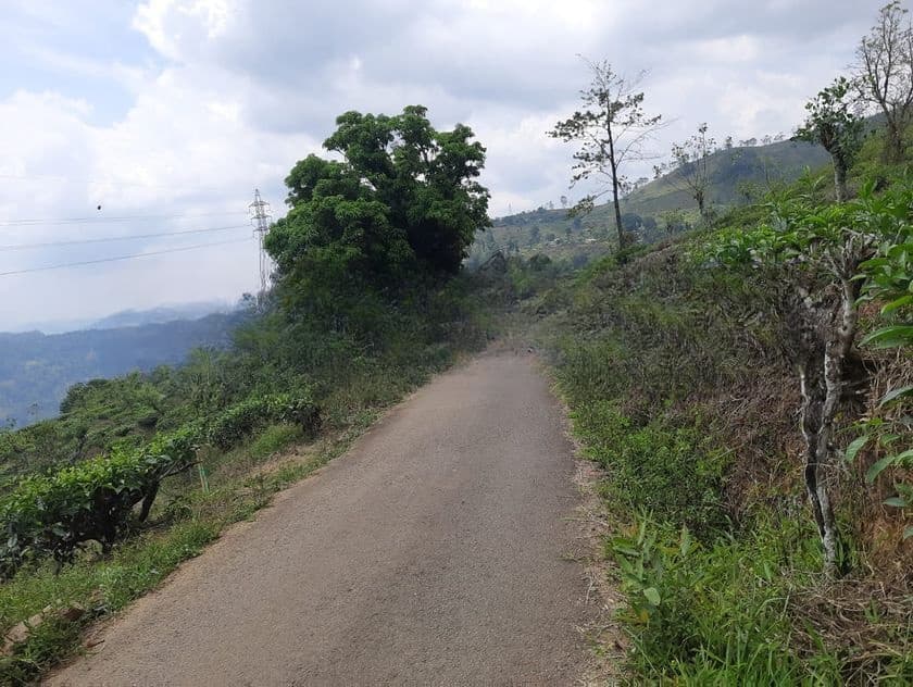 Mountain View Land for Sale in Pundaluoya
