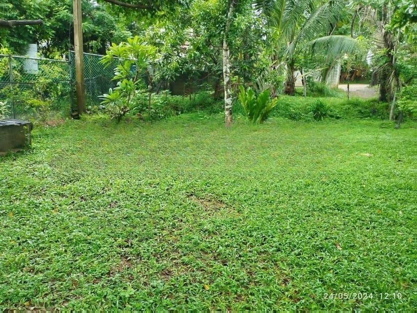 Kadawatha 12.5 Perches Land for Sale (SSPL-491)
