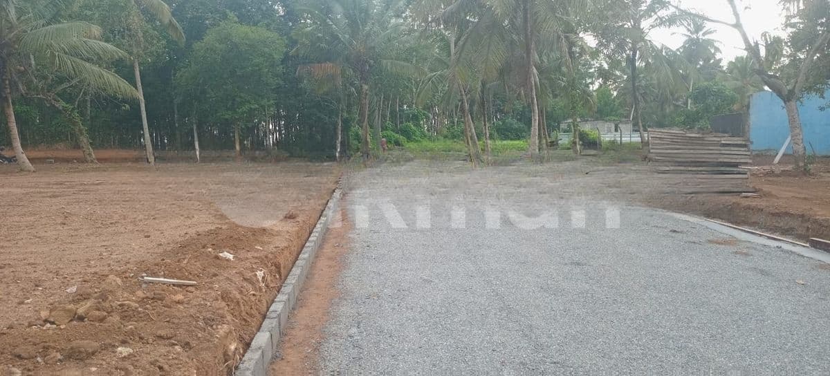 වැදගත් පරිසරයක පදිංචියට මොරගහහේන වටිනා නේවාසික බිම් කොටස්