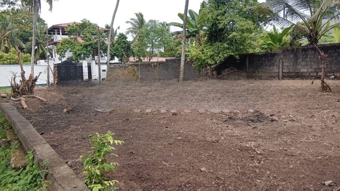 Land for Sale Thalawatugoda