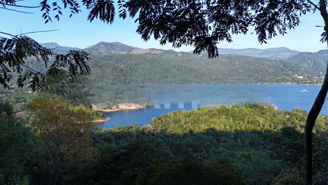 land for sale in digana