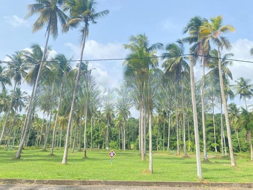 Land In Katunayaka