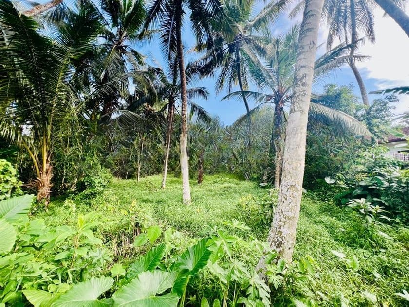 Valuable Land for Sale in Homagama