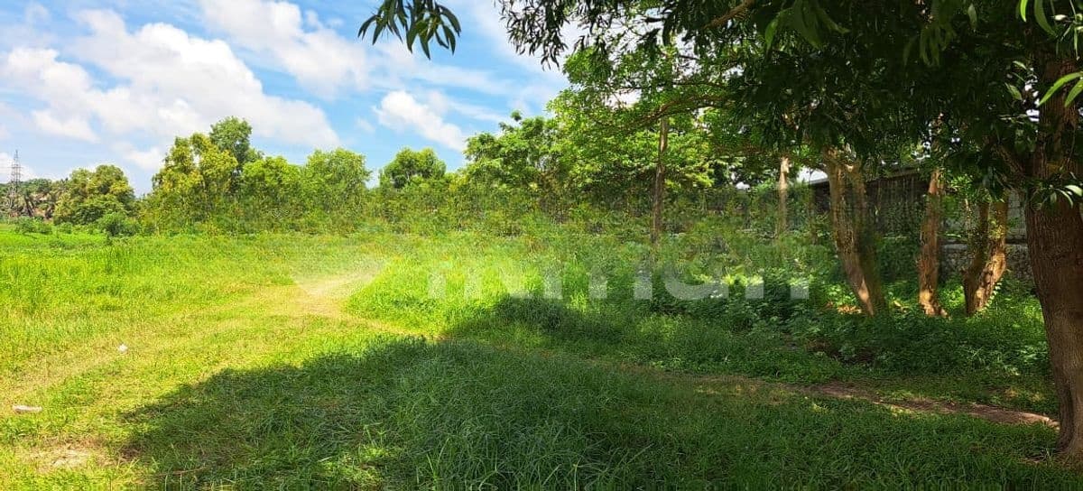 380 Perches Land for Sale at Ekala- Ja-Ela