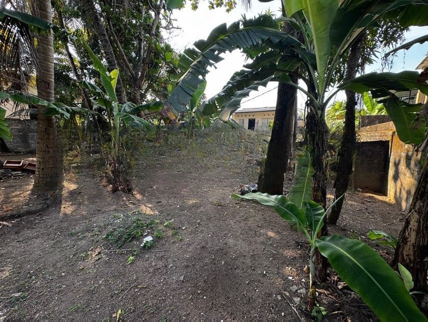 Dehiwala Parakum Mawatha Facing 19.65P Land For sale