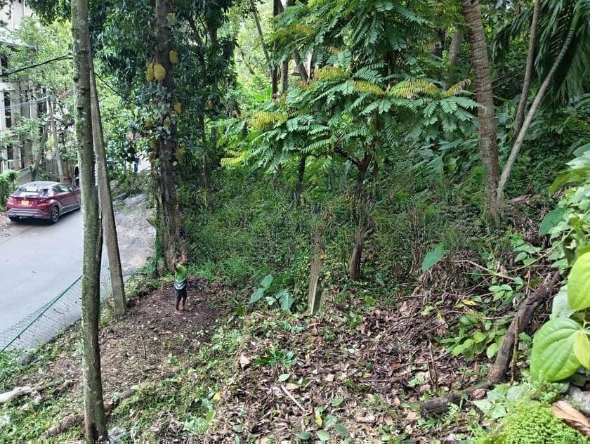 Land in Kandy City Limits
