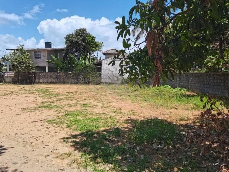 Land for sale in Katubedda, Moratuwa. Can be divided into two plots. Price negotiable.