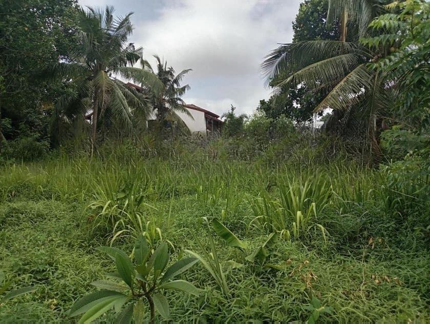 Premium Land for Sale Boralesgamuwa