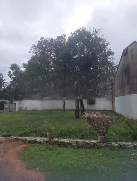 Land For Sale In Boralesgamuwa Pepiliyana