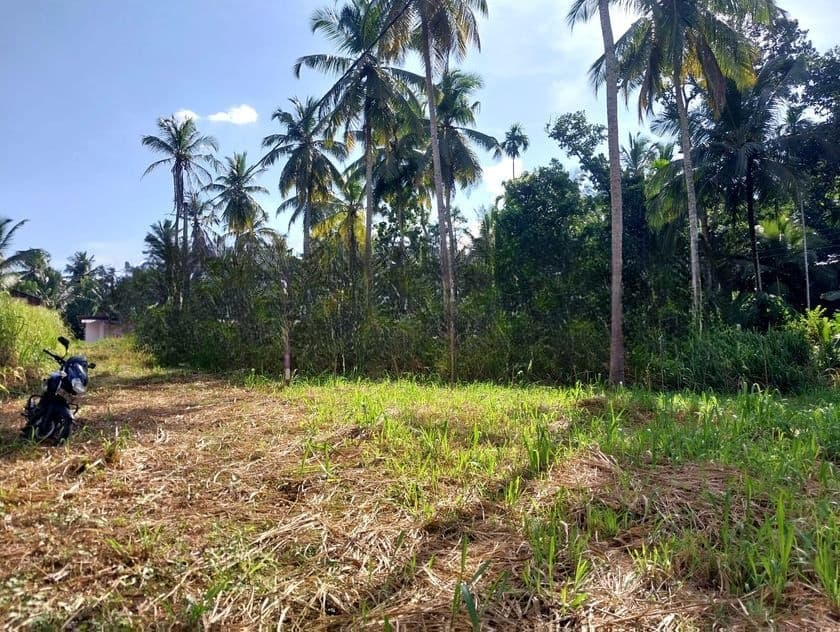 නිට්ටඹුව British Way Academy සහ නුවර පාරට ලගින් ඉඩම / KM 14687