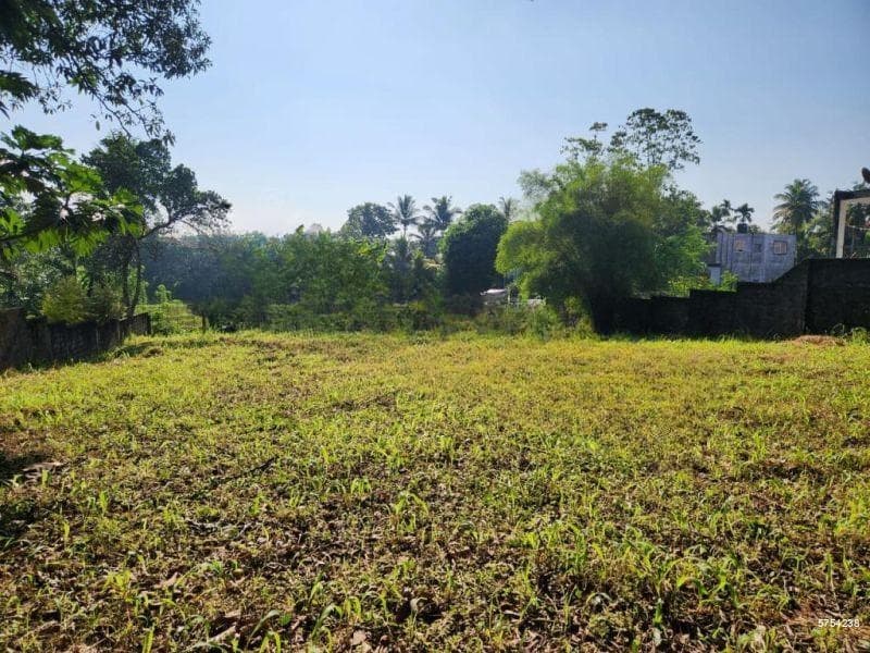 Prime 42 Perch Land for Sale – Thalawathugoda