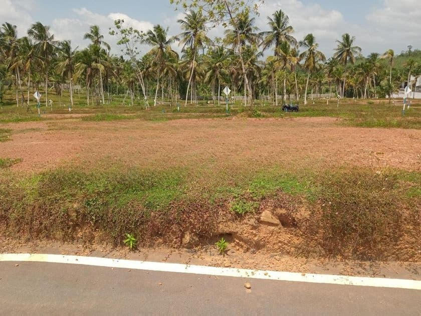 තලගල හන්දිය ඉඩම් ව්යාපෘතිය
