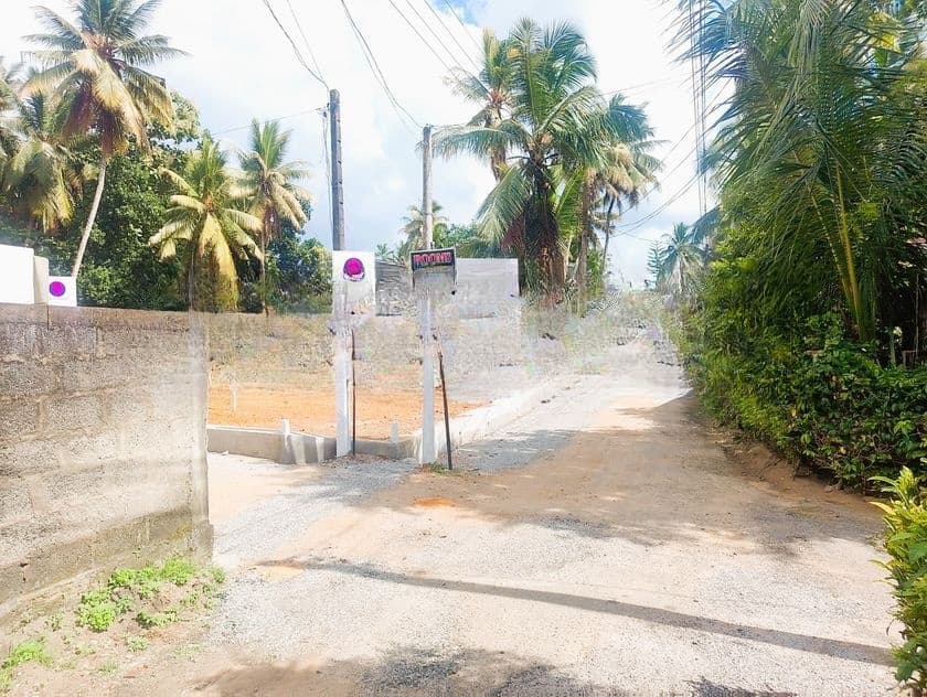 අගනා බිම් කොටස් වැදගත් පරිසරයක හෝමාගම